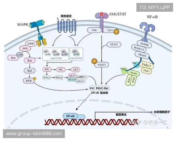 深入分析cq9游戏玩法的核心机制与策略提升你的游戏胜率